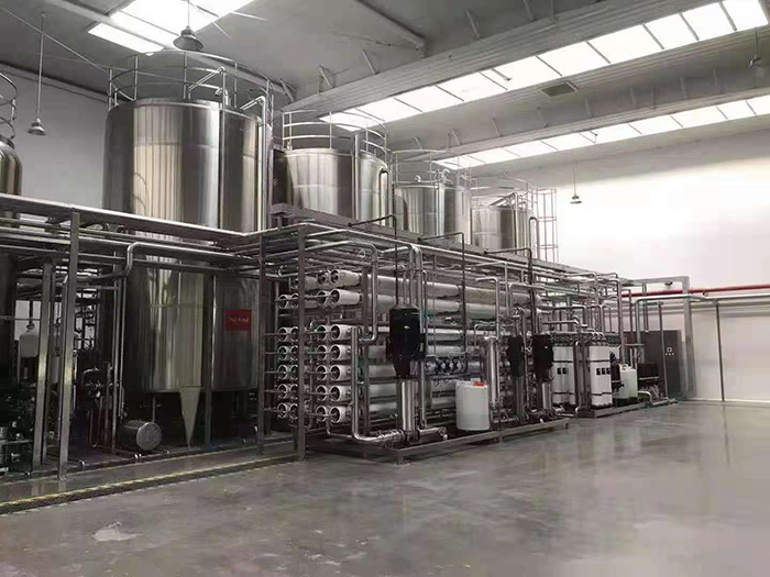 50噸雙級純凈水設備