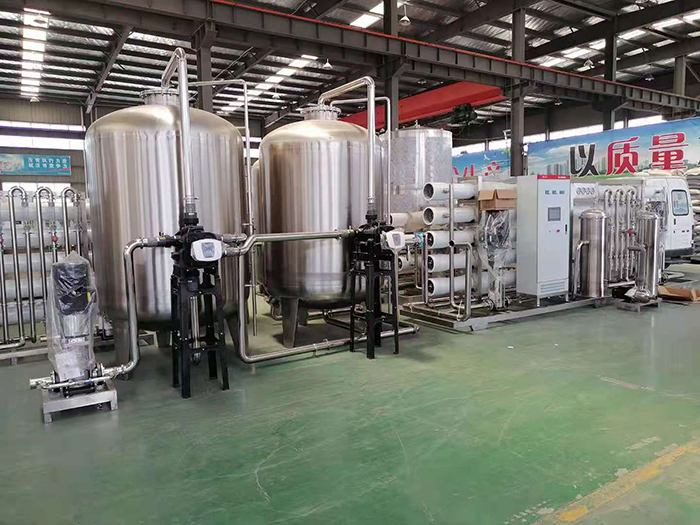 25噸雙級純凈水設(shè)備