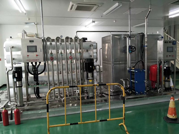 5噸雙級純凈水設備